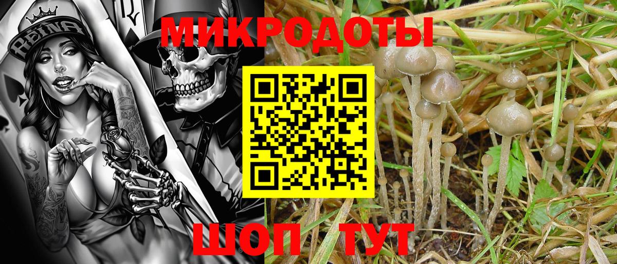 Канск  Галлюциногенные грибы GOLDEN TEACHER  Вход с VPN 
